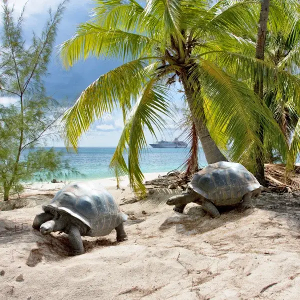 intersight Aldabra Atoll
