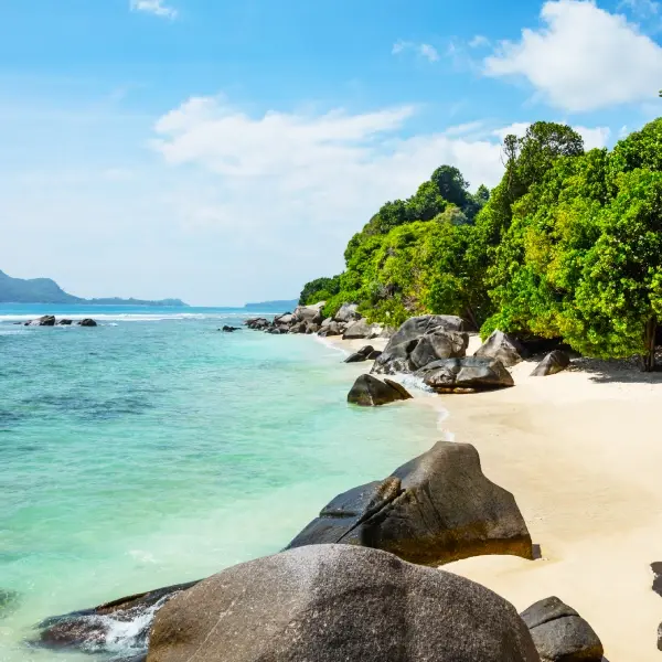 intersight North Island