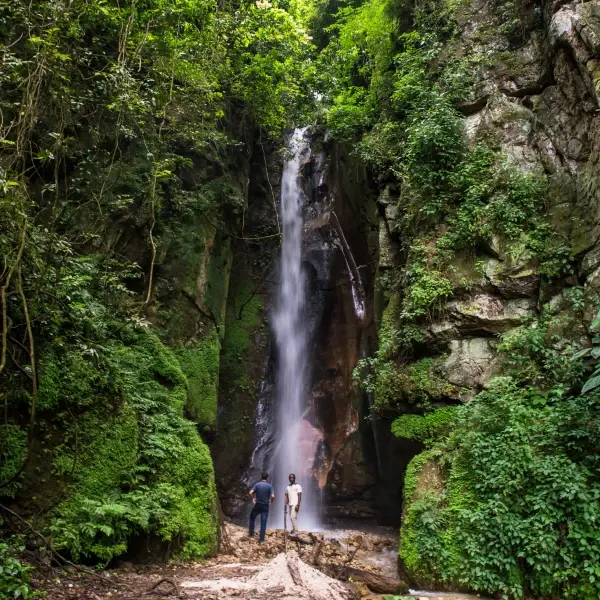 intersight Gombe Stream National Park