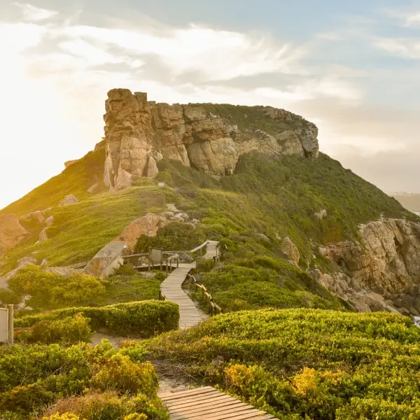 intersight Garden route