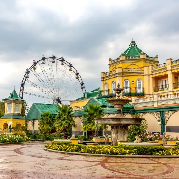 intersight Johannesburg