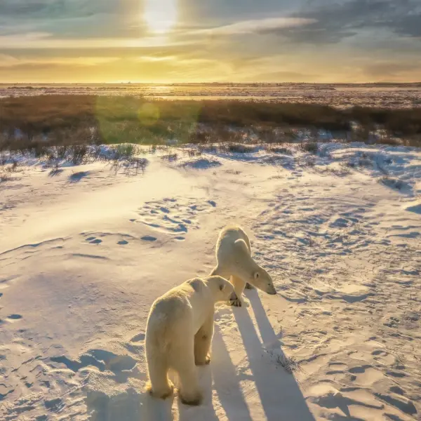 intersight Churchill