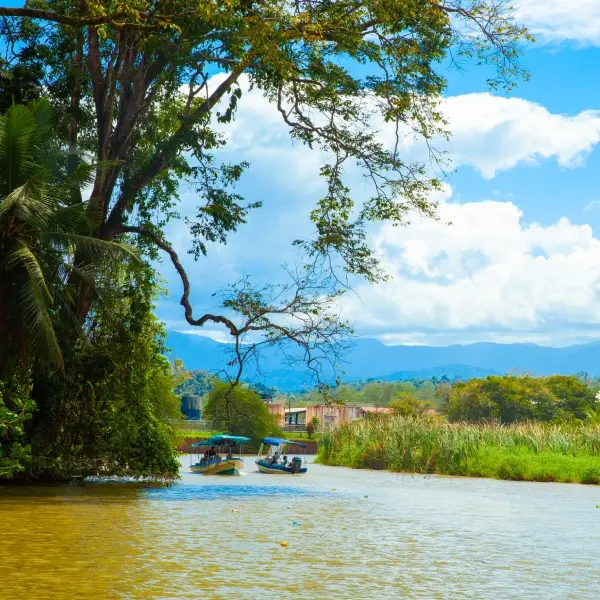 intersight Tortuguero National Park