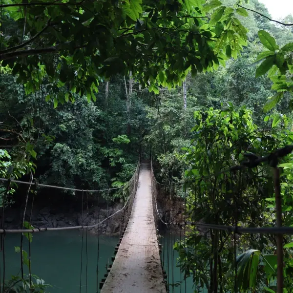 intersight Corcovado National Park
