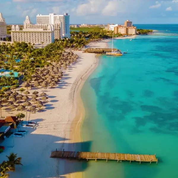 intersight Palm Beach