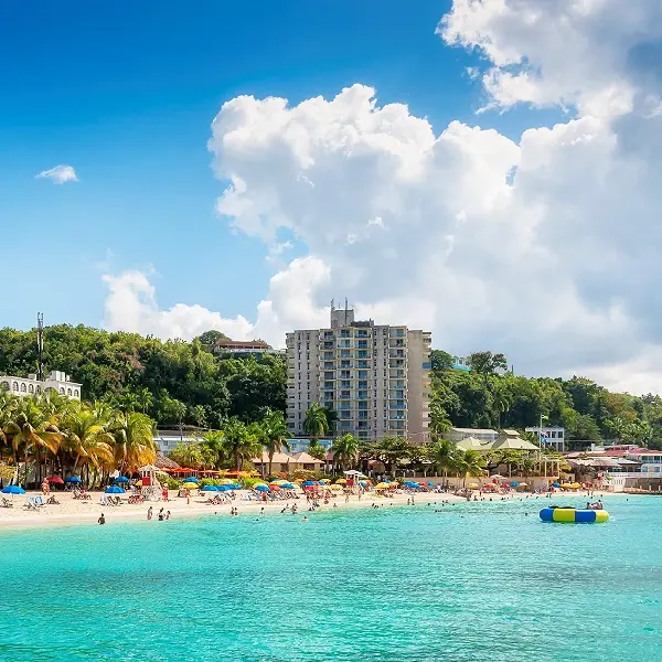 intersight Montego Bay