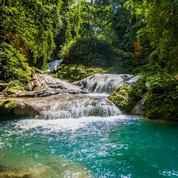 intersight Ocho Rios