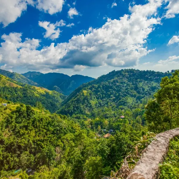 intersight Blue Mountains