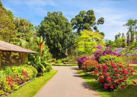 Ooty  Package