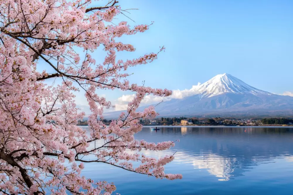 Unforgettable Journeys, Tailored for You