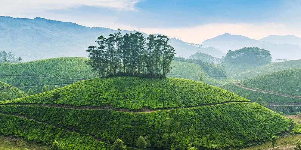 Kerala Southern Splendors