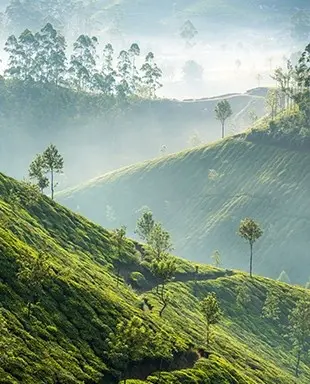 Kerala Southern Splendors