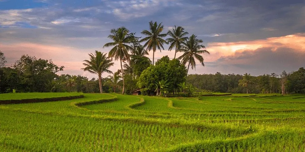 Tropical Bali Paradise
