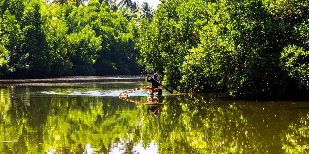 Tropical Paradise Escape