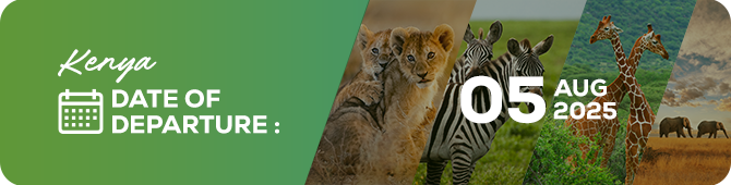 The Great Kenya Migration - Safari