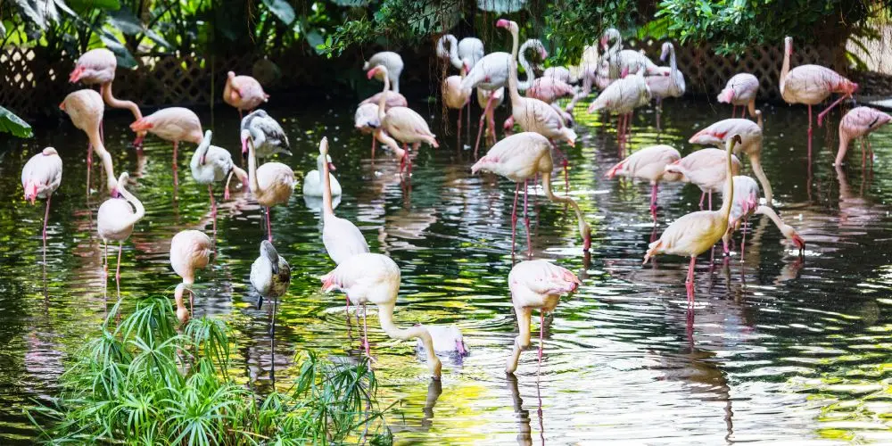 Twin Treasures Discovery