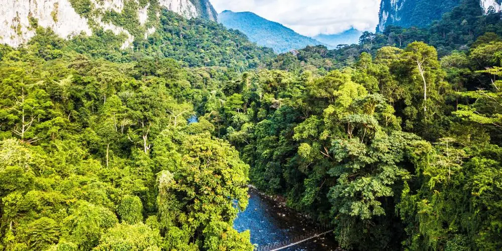 Malaysian Borneo Adventure