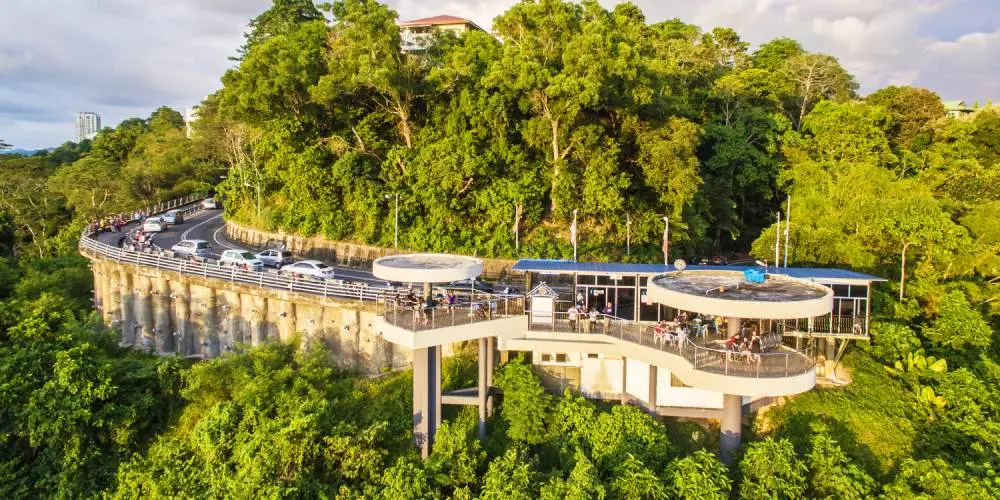 Borneo Jungle Expedition