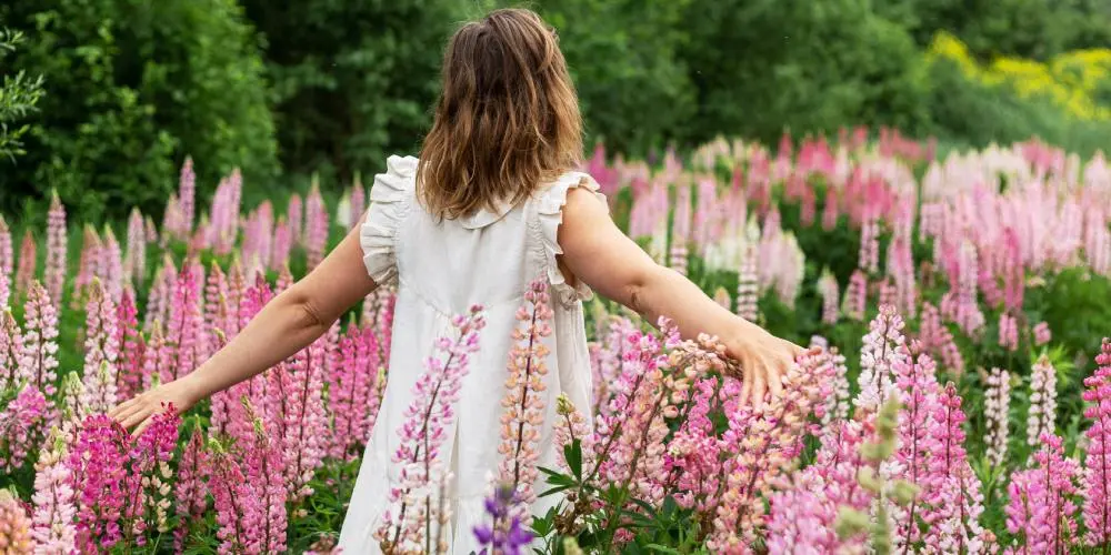 Baltic & Caucasus Explorer