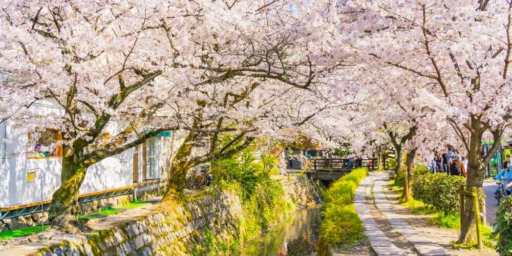 Kyoto Serene Honeymoon