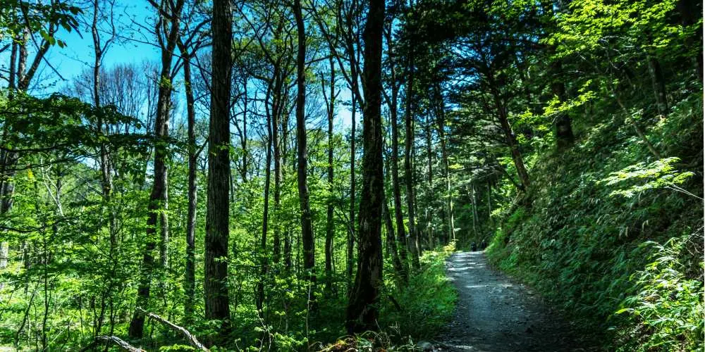 Japanese Alps Adventure