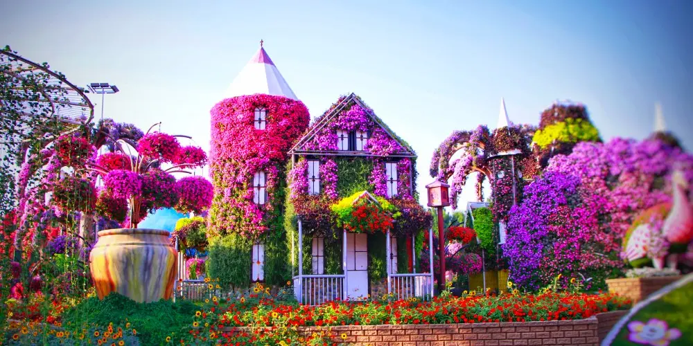 Arabian Dreams Explorer