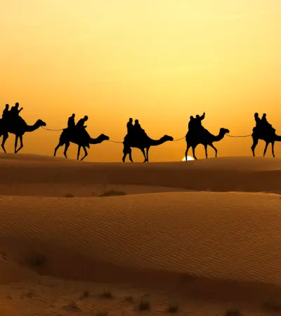 Arabian Dreams Explorer