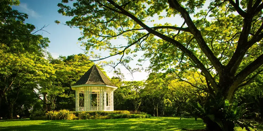 Spectacular Singapore Adventure