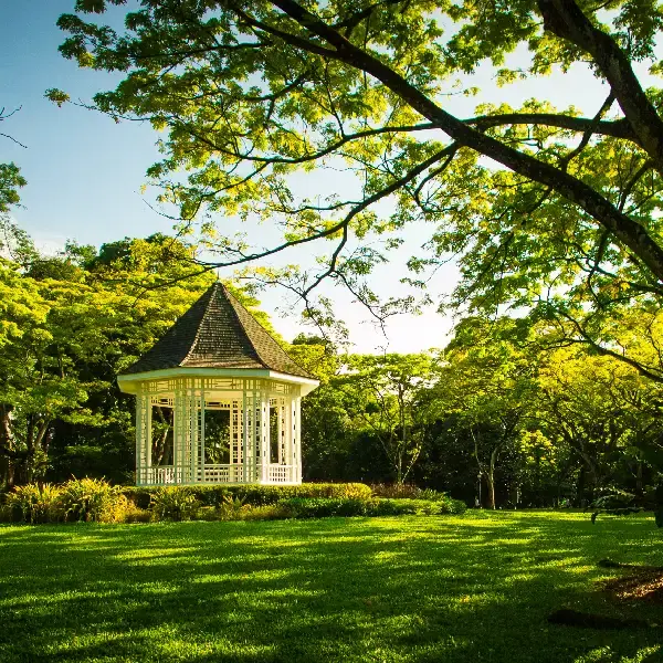 Spectacular Singapore Adventure