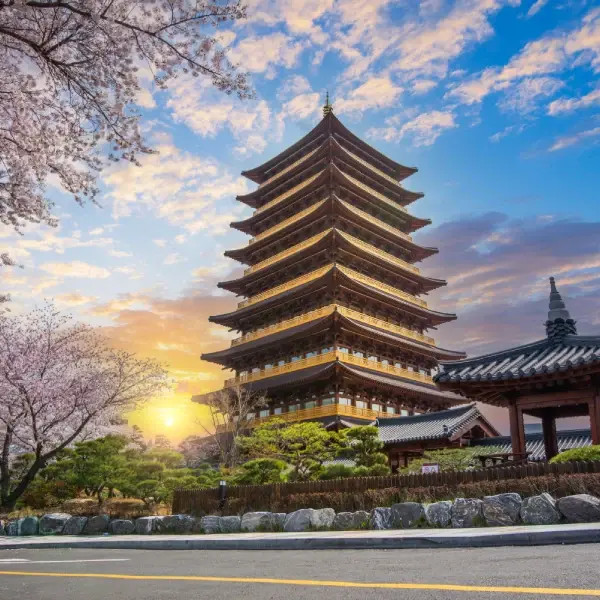 South Korea Discovery