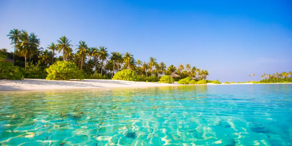 Maldives Aquatic Adventure