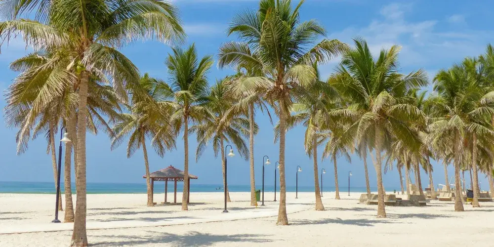 Oman Desert & Coastal Splendour