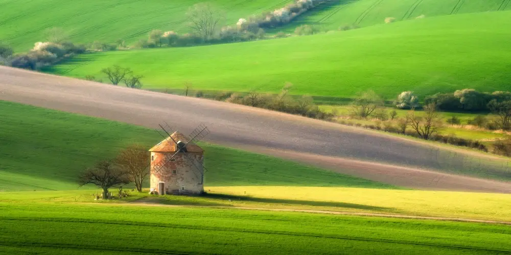 Central European Treasures