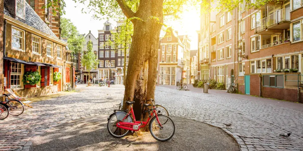 Benelux Cultural Discovery