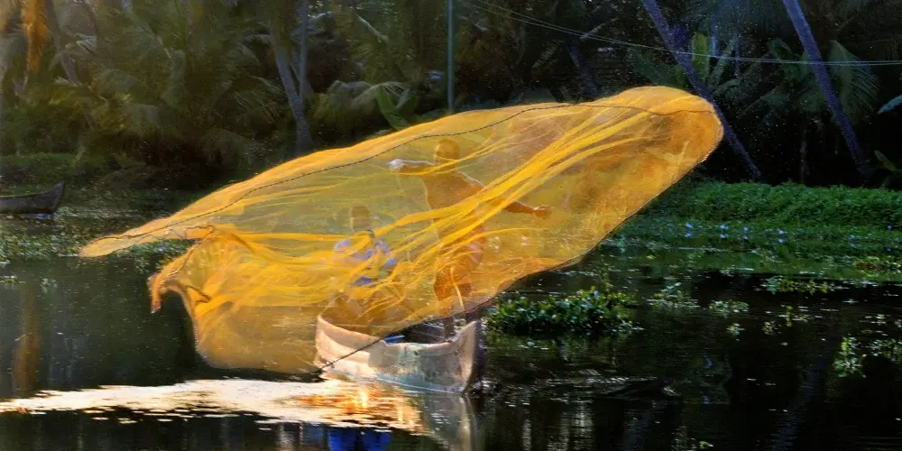 Highlands To Backwaters Sojourn