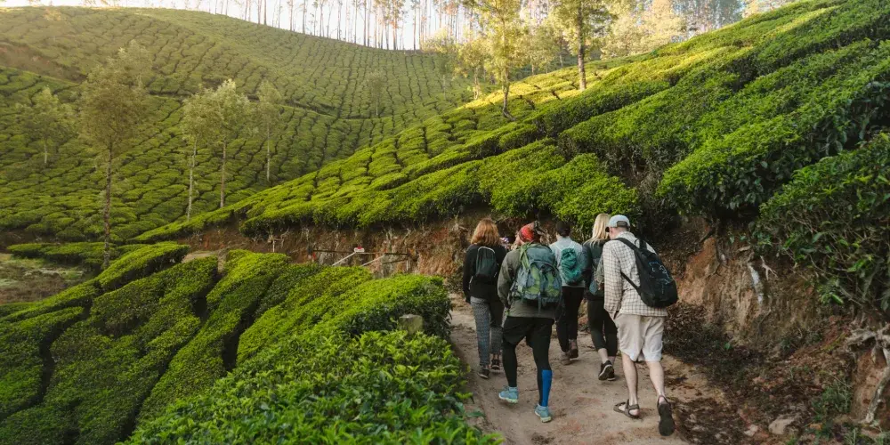 Kerala Eco Heritage Voyage