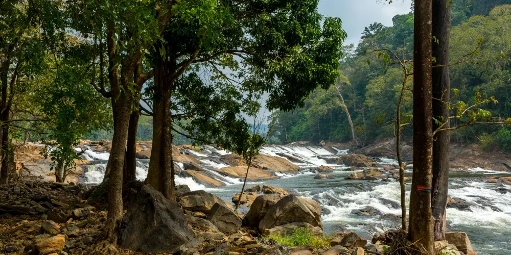 Kerala Highlands Escapade