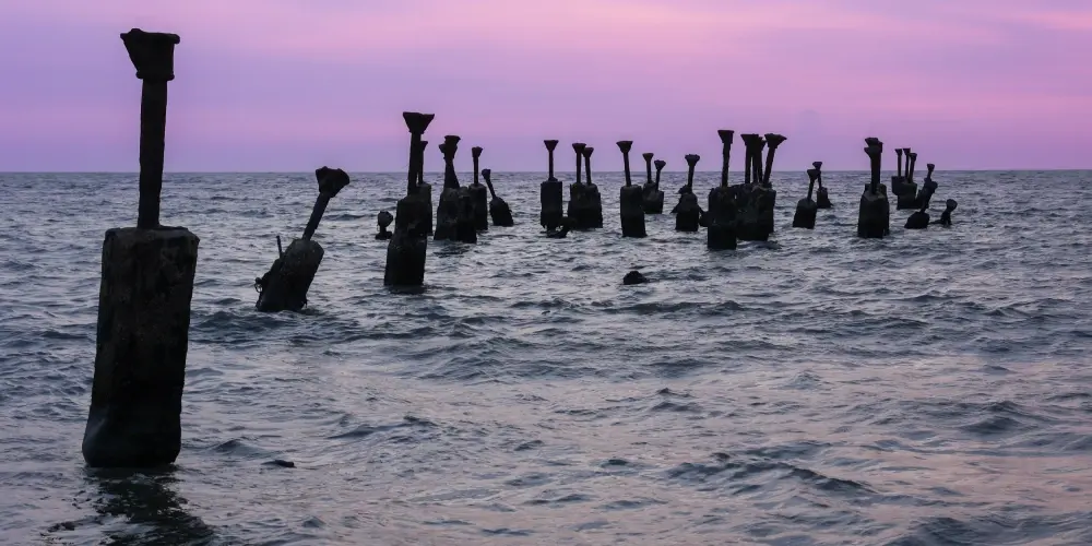 Wayanad Highland Escape