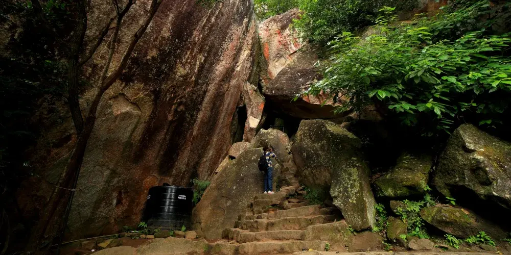 Wayanad Highland Escape