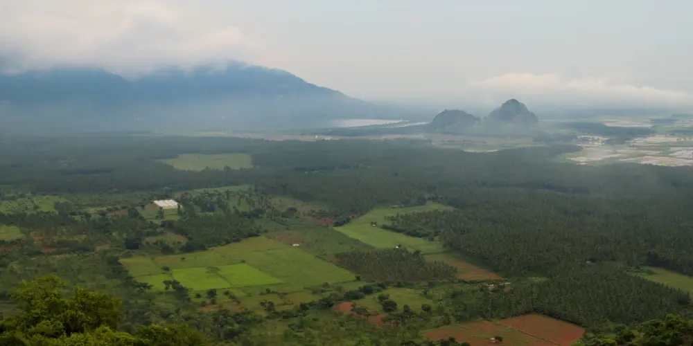 Emerald Of Shevaroy Hills