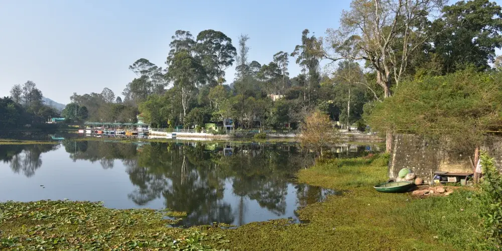 Emerald Of Shevaroy Hills