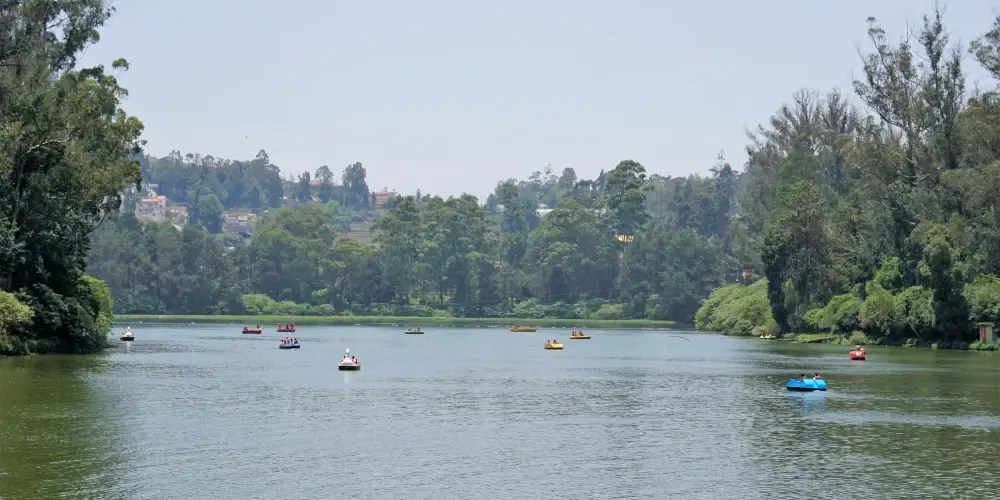 Nilgiri Mountain Retreat