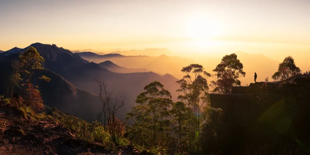 Princess Of Hill Stations