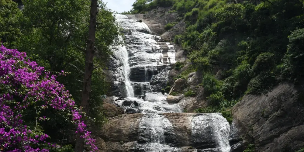 Princess Of Hill Stations