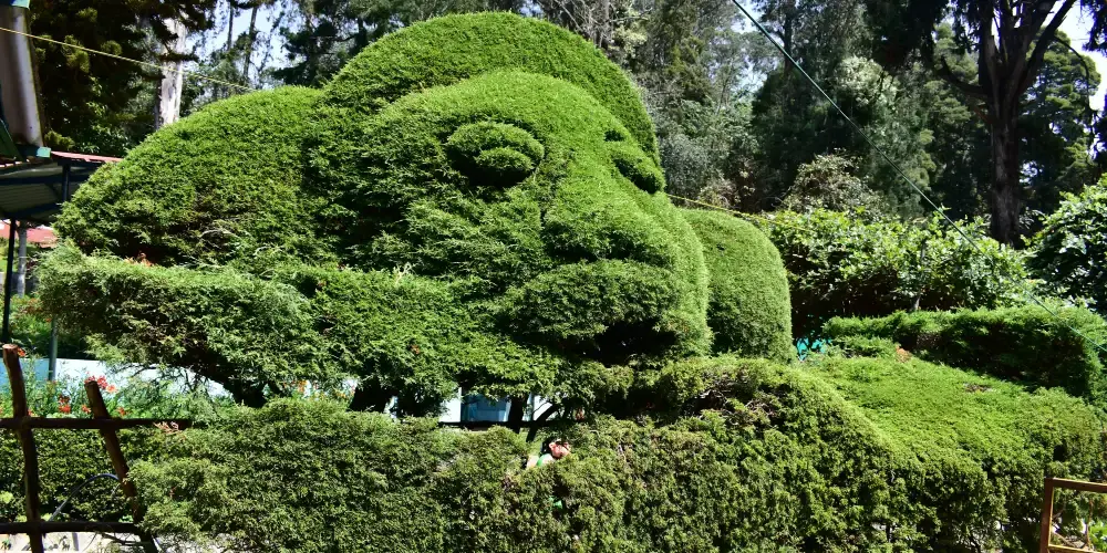 Princess Of Hill Stations