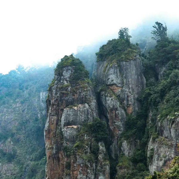 Princess Of Hill Stations