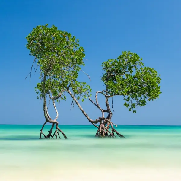 Andaman Grand Explorer