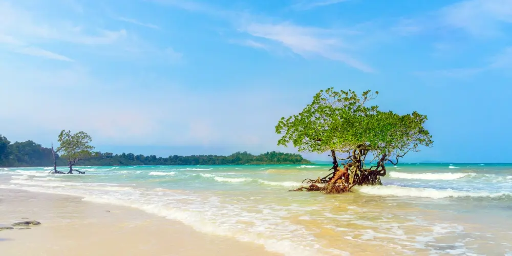 Andaman Paradise Discovery