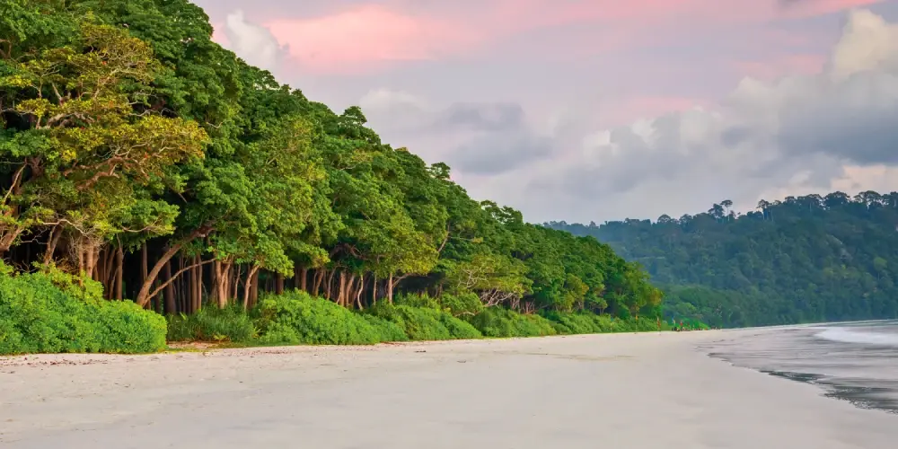 Andaman Paradise Discovery