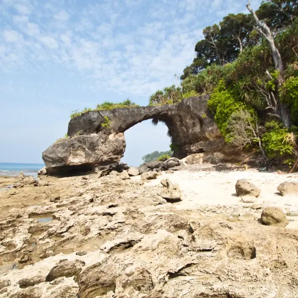 Andaman Paradise Discovery